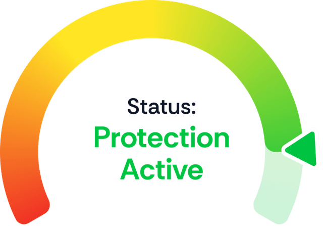 Monitor status protection active
