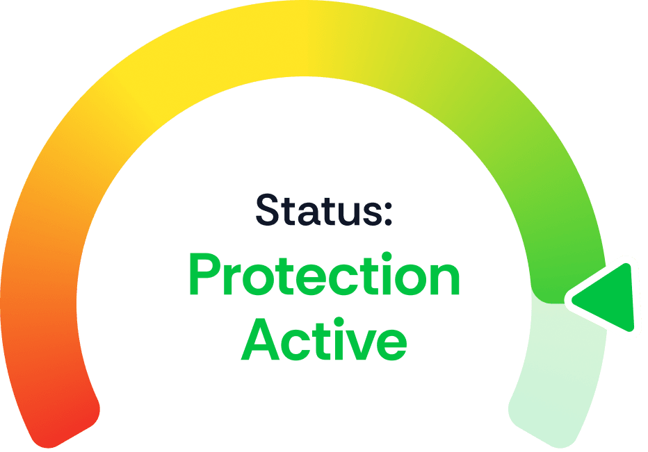 Monitor status protection active